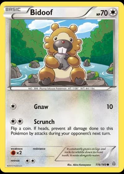 Bidoof #116/160 — Primal Clash
