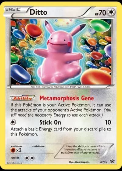 Ditto XY40