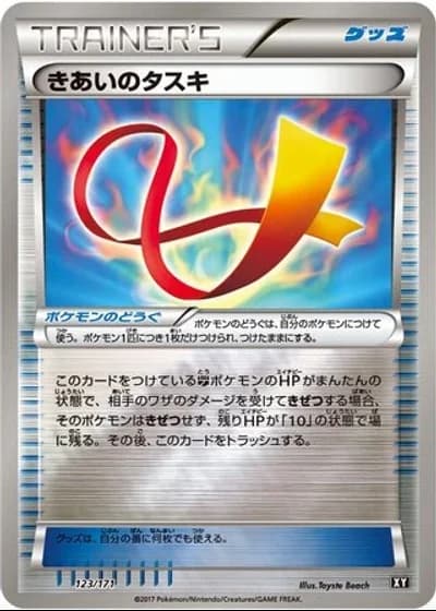 Focus Sash #123/171 — The Best of XY