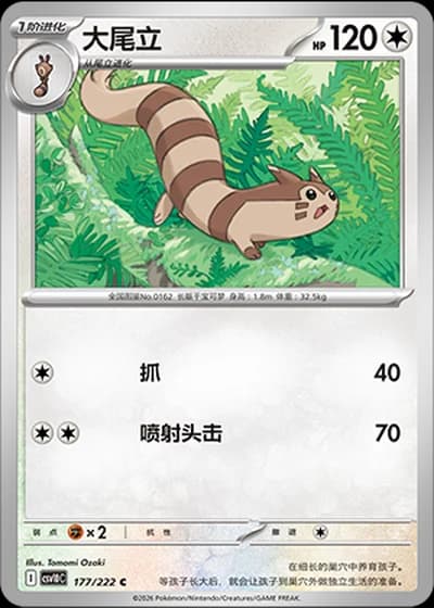Furret #177/222 — Chasing Glory Together