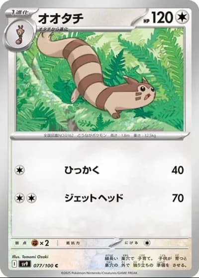 Furret #77/100 — Battle Partners