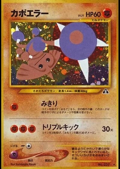 Hitmontop — Crossing the Ruins...