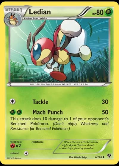 Ledian #7/146 — XY