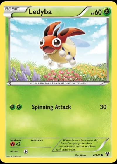 Ledyba #6/146 — XY
