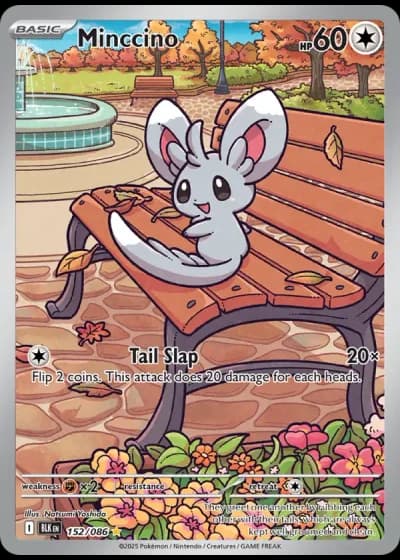 Minccino #152/86 — Black Bolt