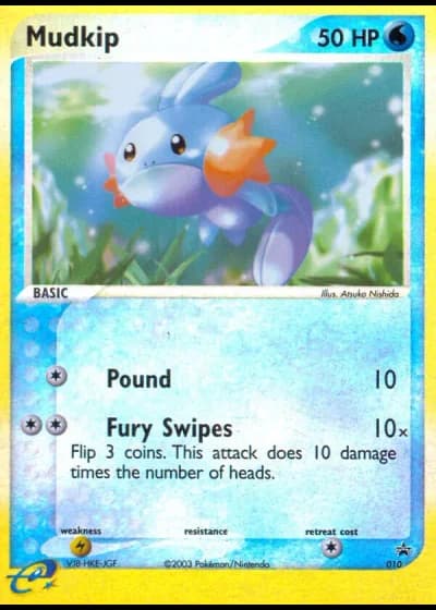 Mudkip #10