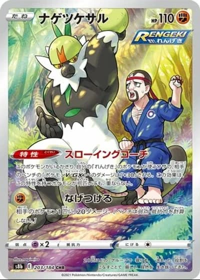 Passimian #203/184 — VMAX Climax