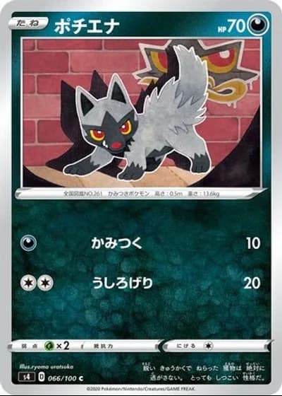 Poochyena #66/100 — Amazing Volt Tackle