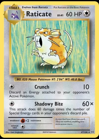 Raticate #67/108 — Evolutions
