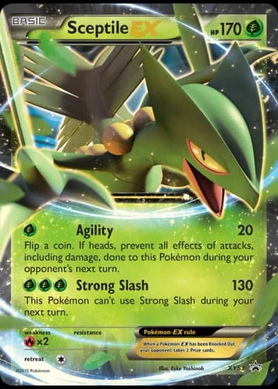Sceptile EX XY53