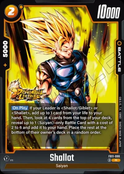 Shallot  FB11-086 — Brightness of Hope (FB11)