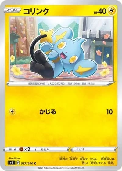 Shinx #37/100 — Star Birth