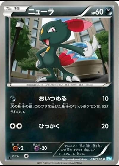 Sneasel #37/52 — Hail Blizzard
