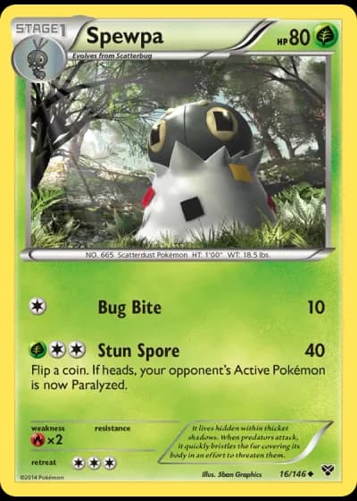 Spewpa #16/146 — XY
