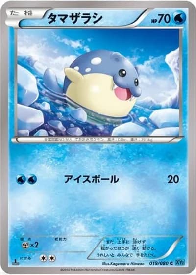 Spheal (1st Edition) #19/80 — Wild Blaze (1st Edition)