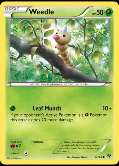 Weedle #3/146 — XY