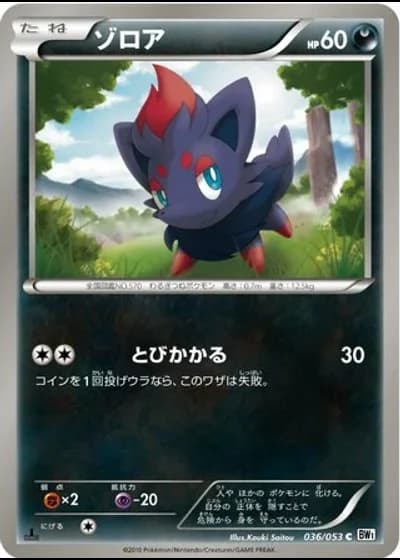 Zorua #36/53 — White Collection