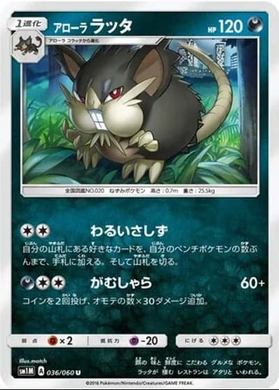Alolan Raticate #36/60 — Collection Moon