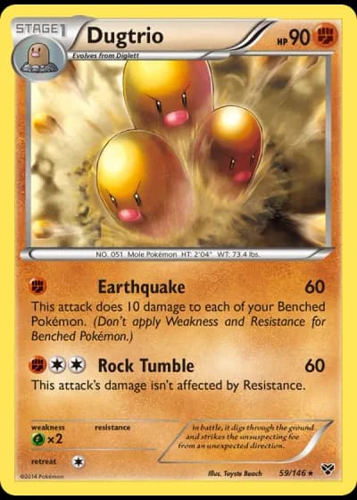 Dugtrio #59/146 — XY