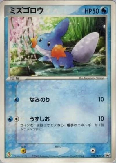 Mudkip #19/ADV-P
