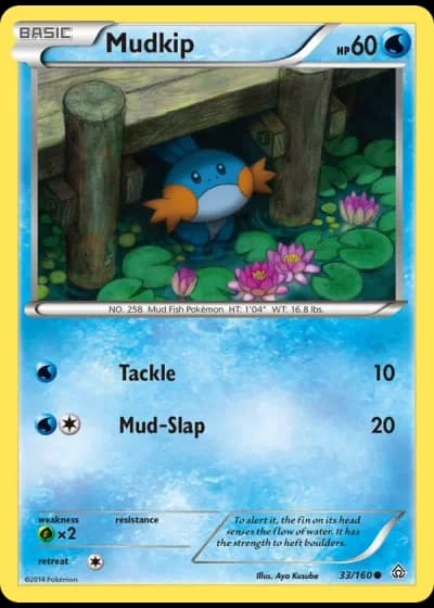 Mudkip #33/160 — Primal Clash