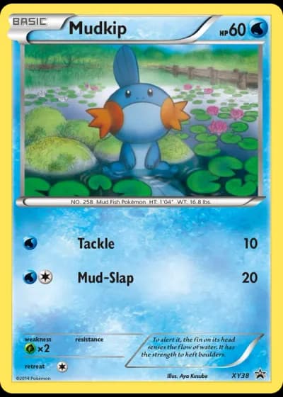 Mudkip XY38