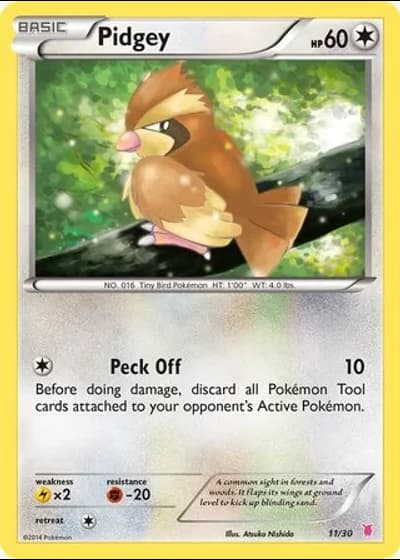 Pidgey #11/30 — XY trainer Kit (Wigglytuff)
