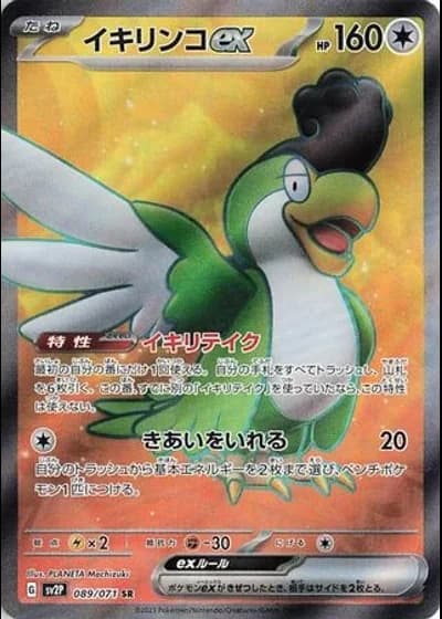 Squawkabilly ex #89/71 — Snow Hazard
