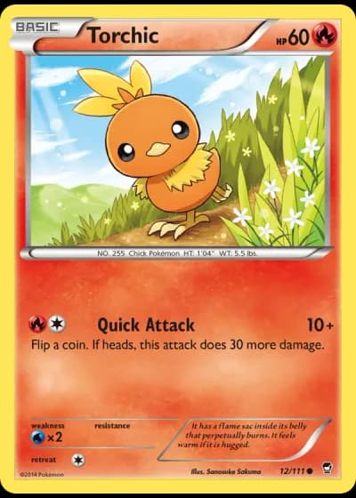 Torchic (City Championships 2014-15) #12/111 — Furious Fists