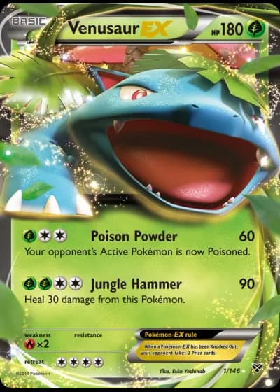 Venusaur EX #1/146 — XY