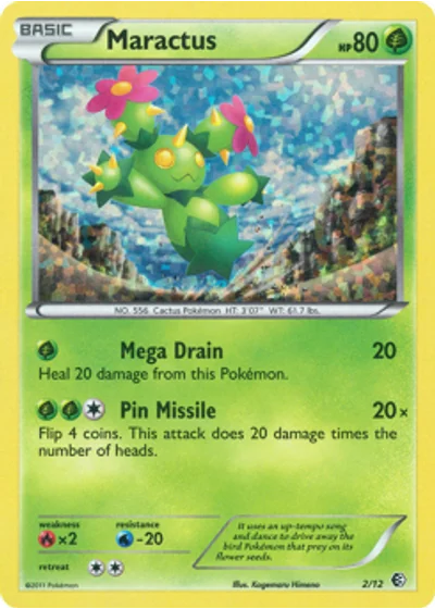 Maractus