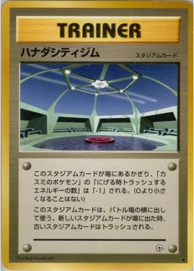 Cerulean City Gym