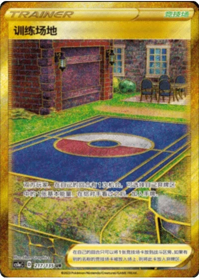Training Court