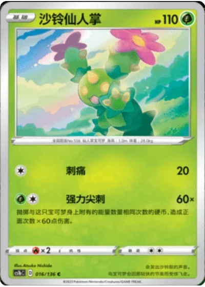 Maractus