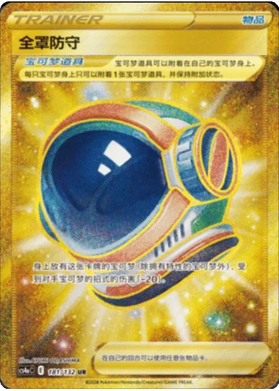 Full Face Guard