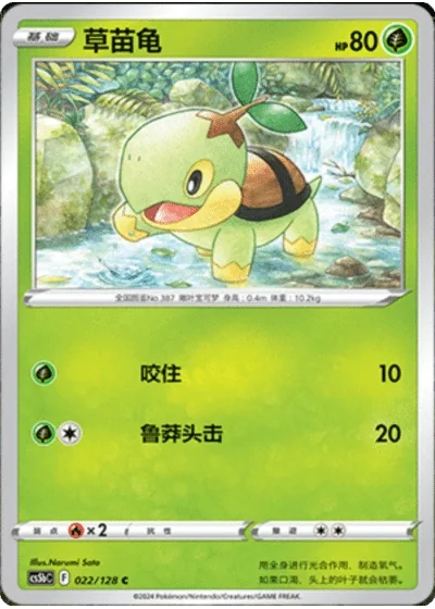 Turtwig