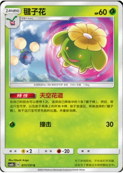 Skiploom