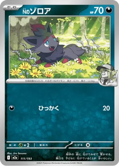 N's Zorua
