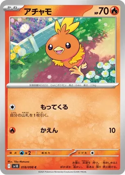 Torchic