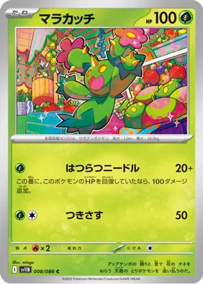 Maractus