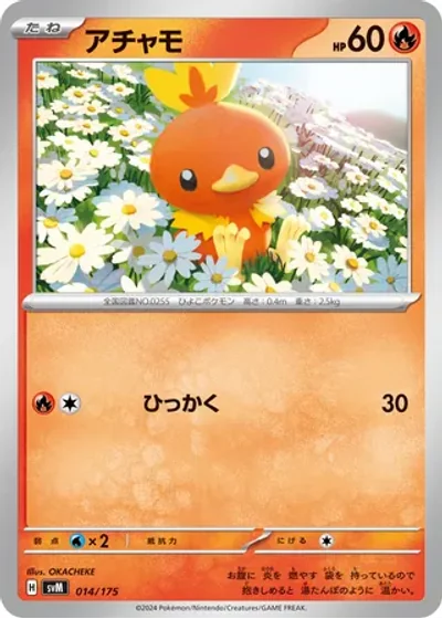 Torchic