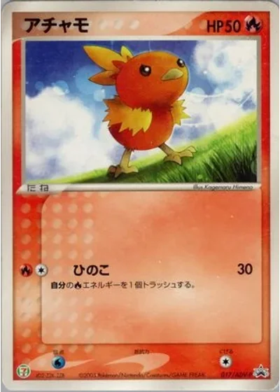 Torchic