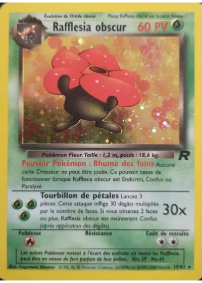 Rafflesia obscur