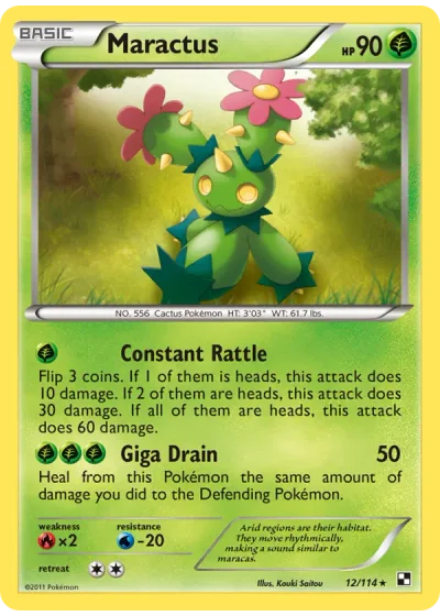 Maractus