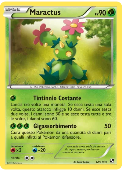 Maractus