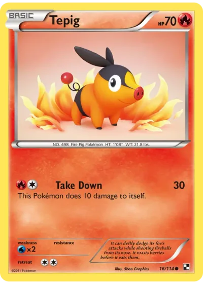 Tepig