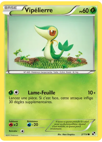 Vipélierre