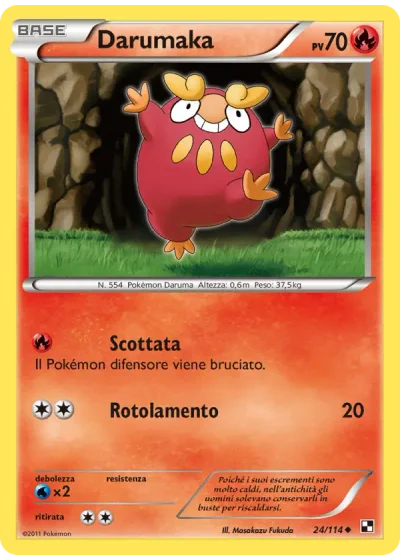 Darumaka