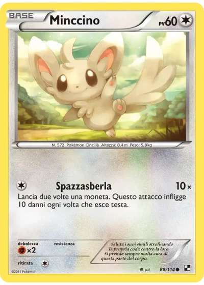 Minccino