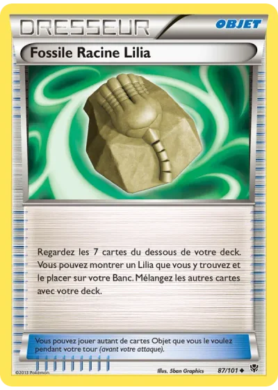 Fossile Racine Lilia